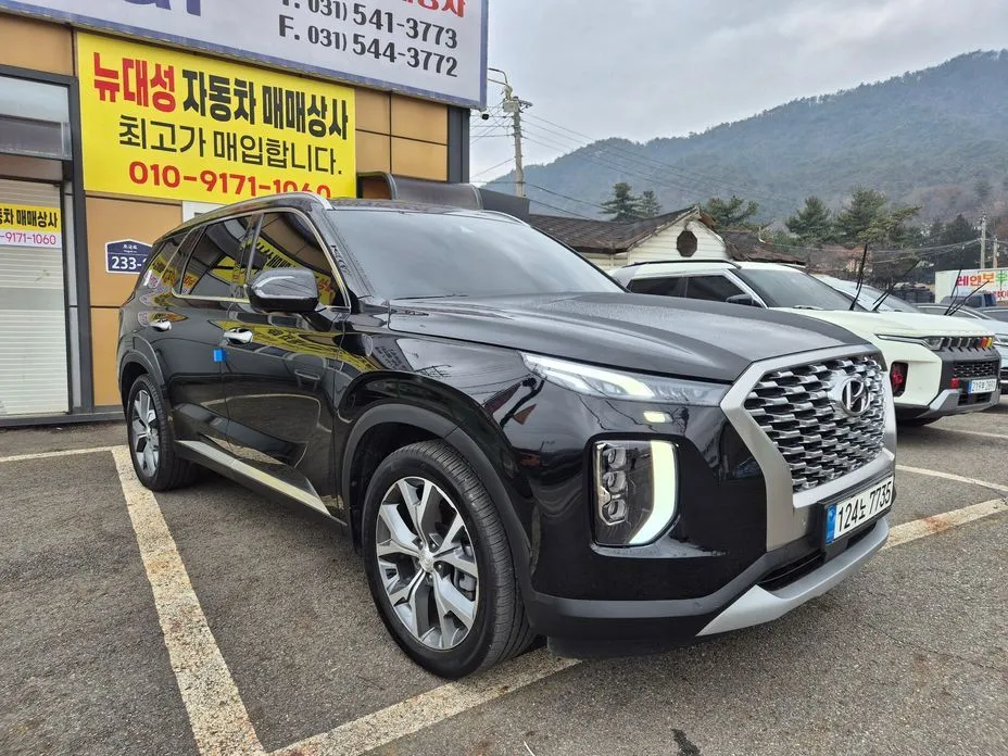 Hyundai Palisade — фото 1