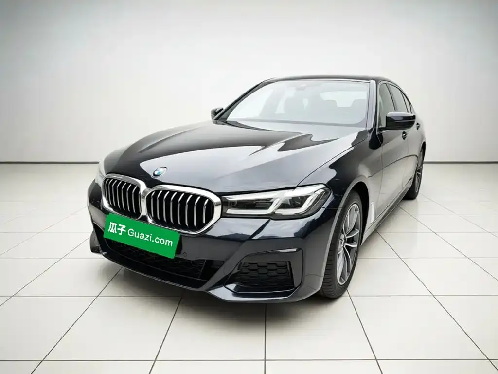 BMW 5 Series New Energy — фото 1