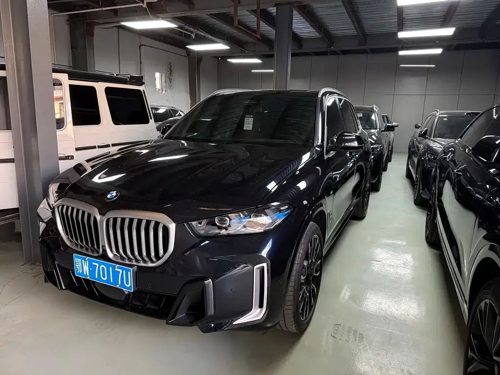 BMW X5 — фото 5