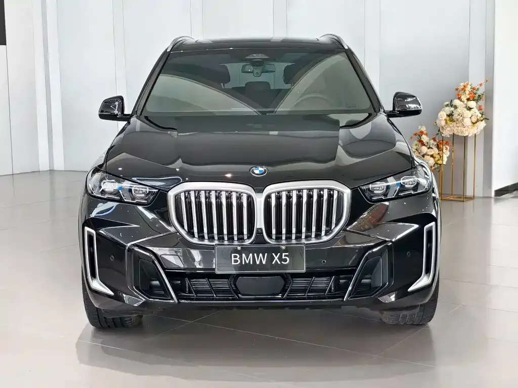 BMW X5 — фото 4