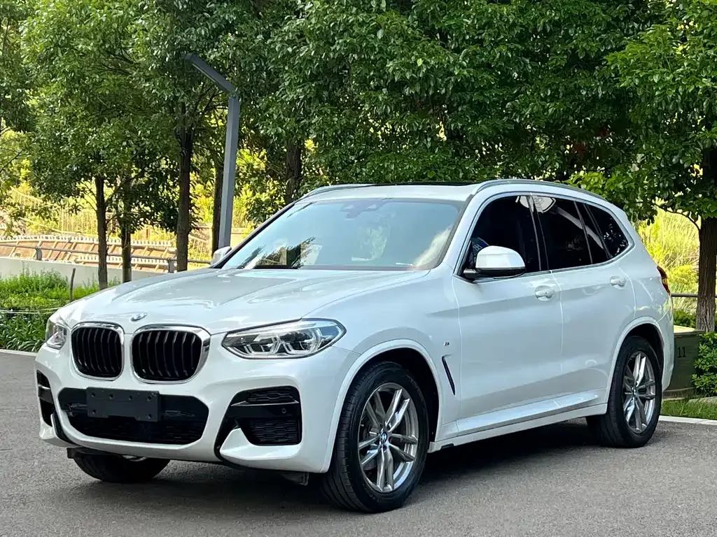 BMW X3 — фото 1