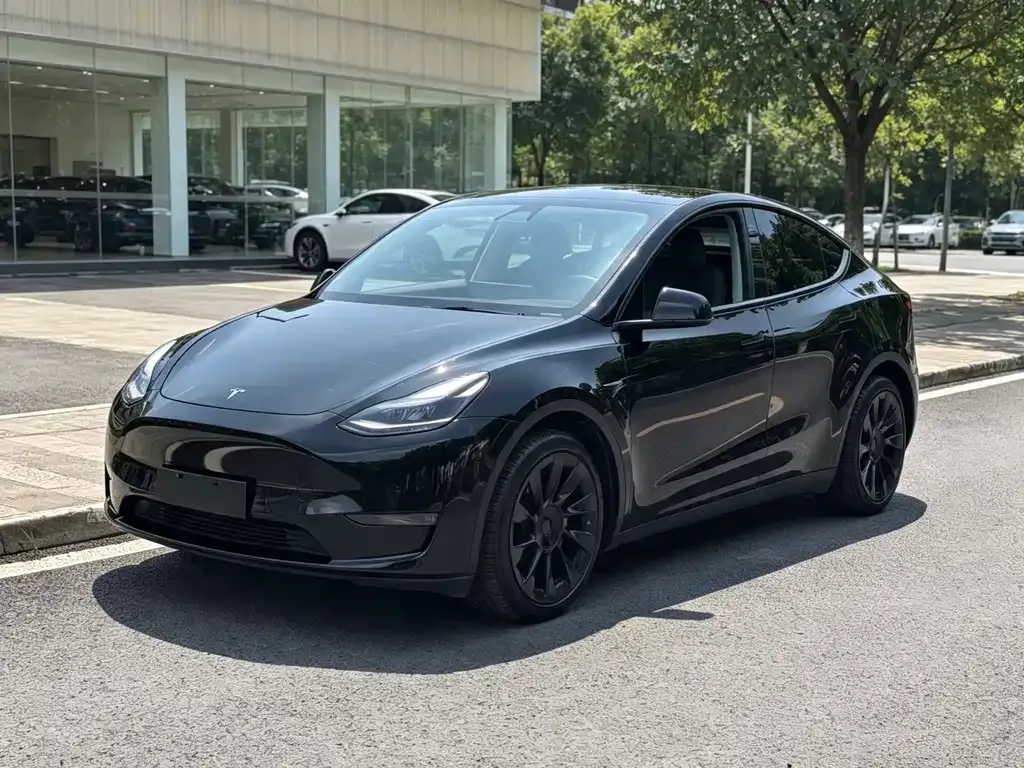Tesla Model Y — фото 1