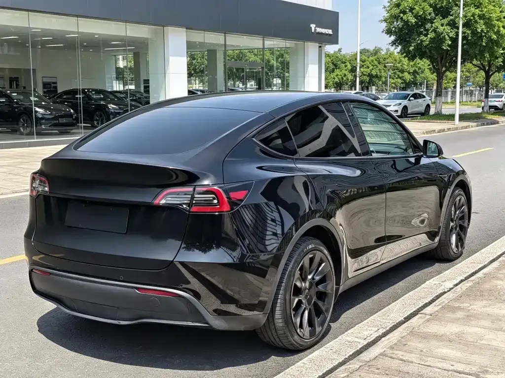 Tesla Model Y — фото 4