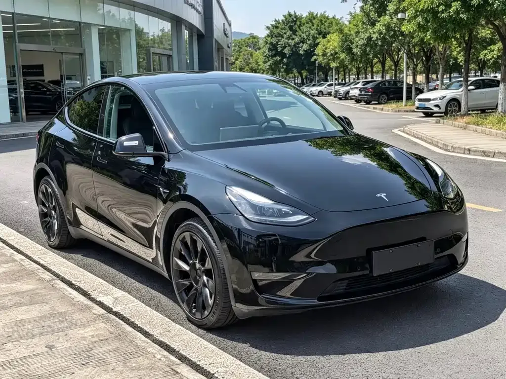 Tesla Model Y — фото 8