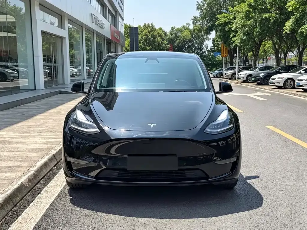 Tesla Model Y — фото 3