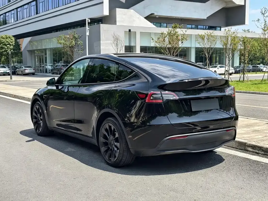 Tesla Model Y — фото 10