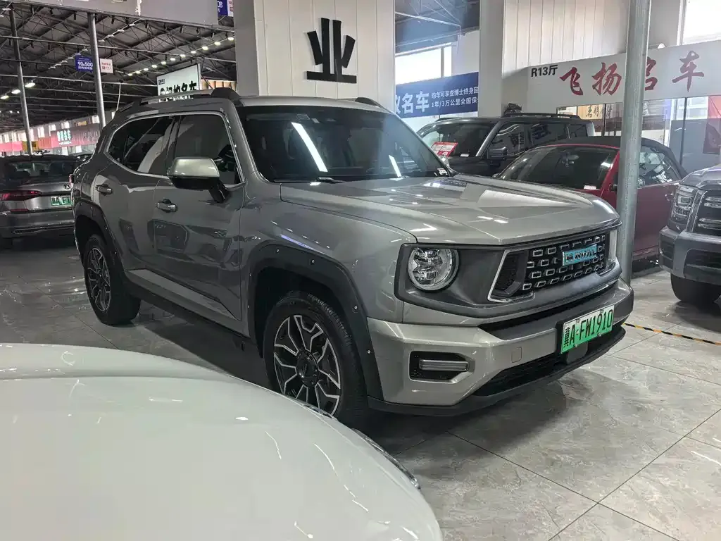 Haval Big Dog PLUS New Energy — фото 3