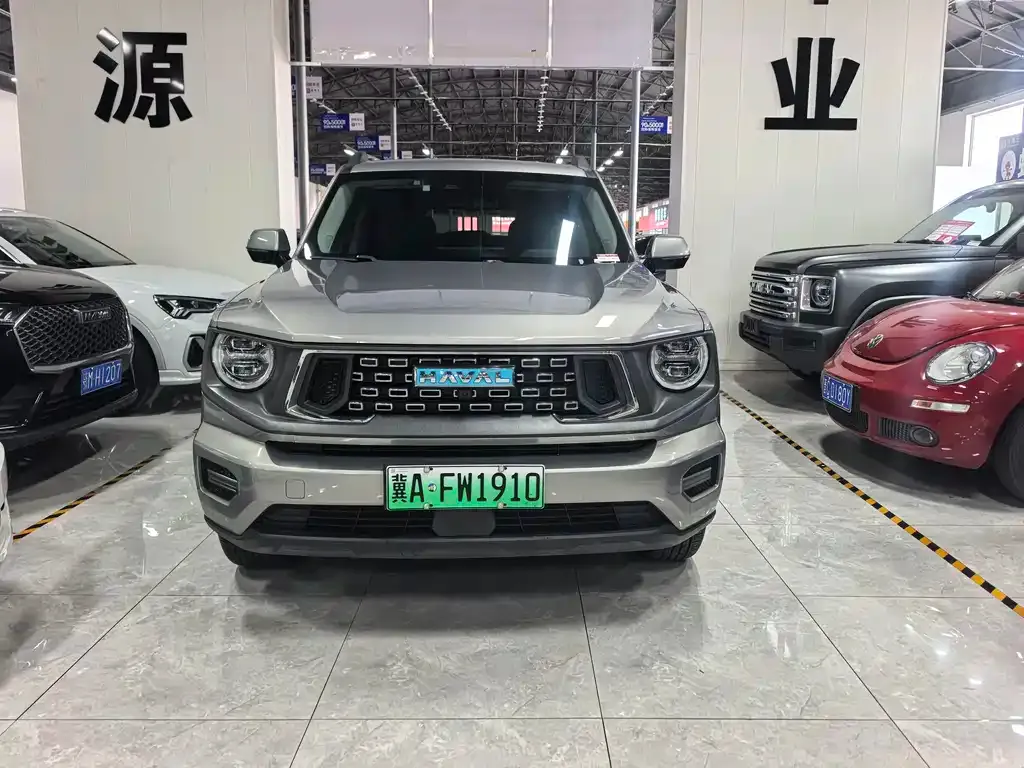 Haval Big Dog PLUS New Energy — фото 9