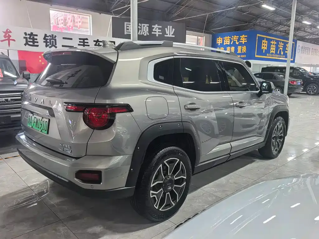 Haval Big Dog PLUS New Energy — фото 10