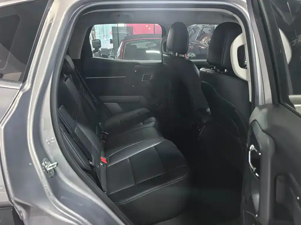 Haval Big Dog PLUS New Energy — фото 2