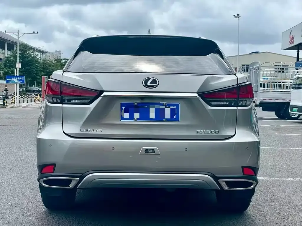 Lexus RX — фото 8