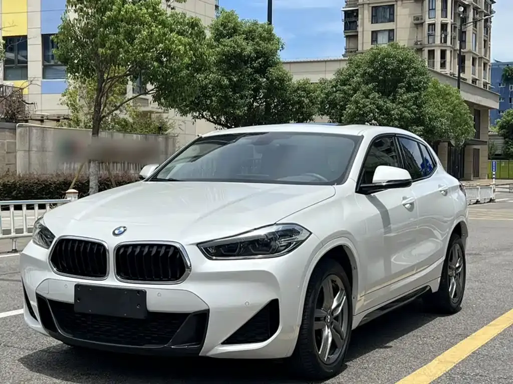 BMW X2 — фото 1