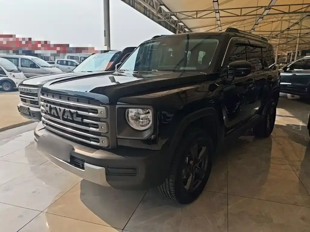 Haval Menglong New Energy — фото 1