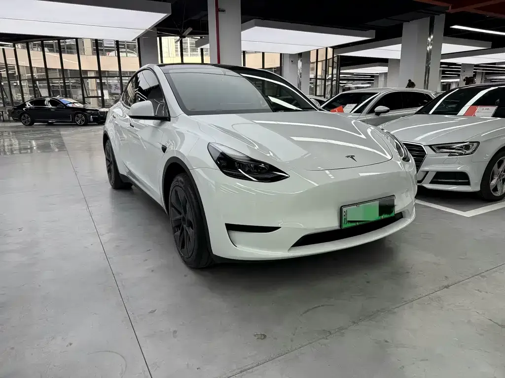 Tesla Model Y — фото 9