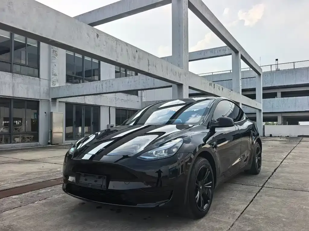 Tesla Model Y — фото 1