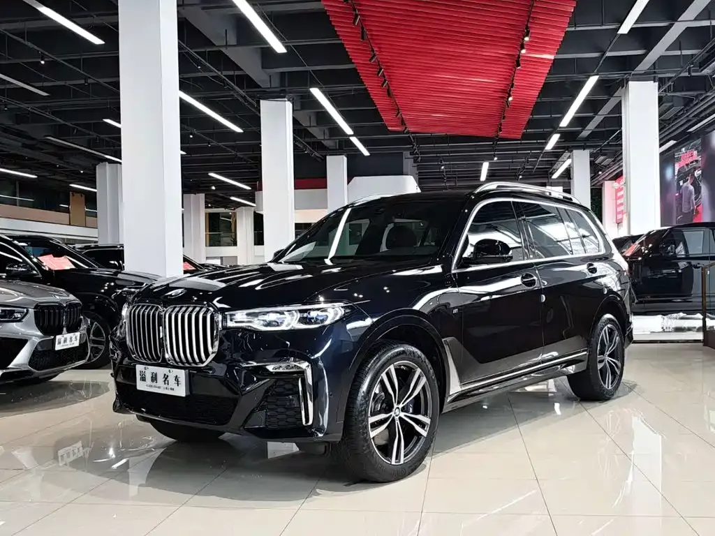 BMW X7 — фото 9