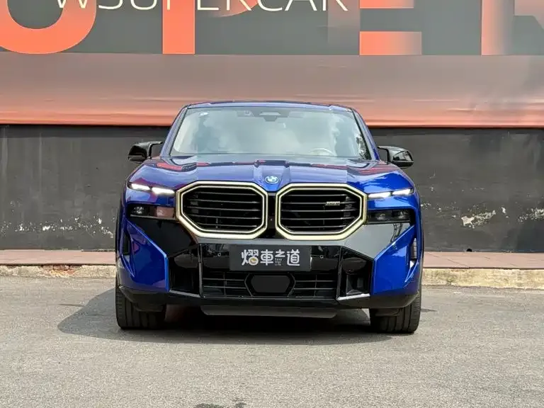 BMW XM — фото 5