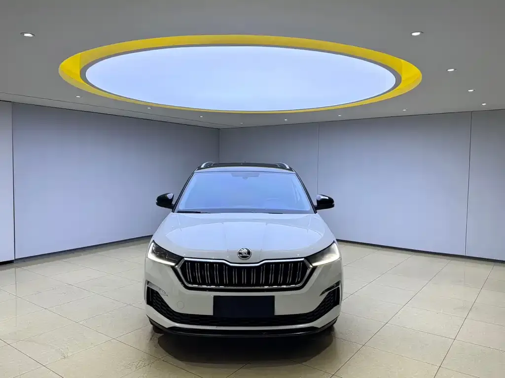 Skoda Kamiq — фото 7