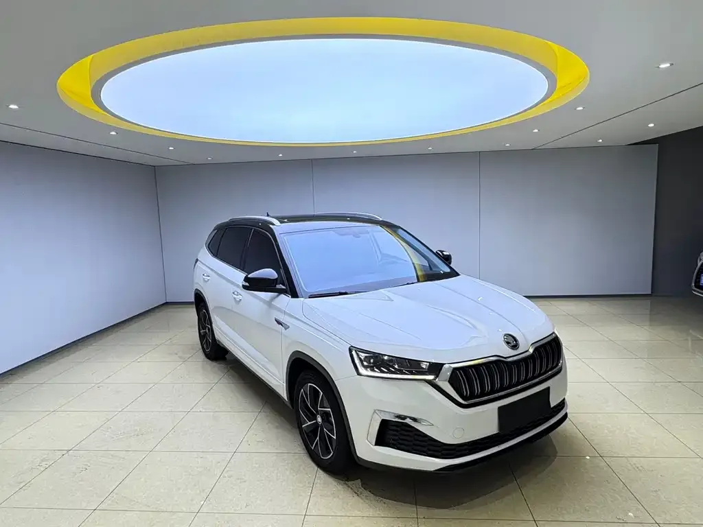 Skoda Kamiq — фото 10
