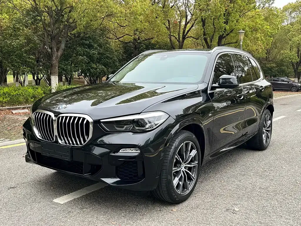 BMW X5 (Import) — фото 1