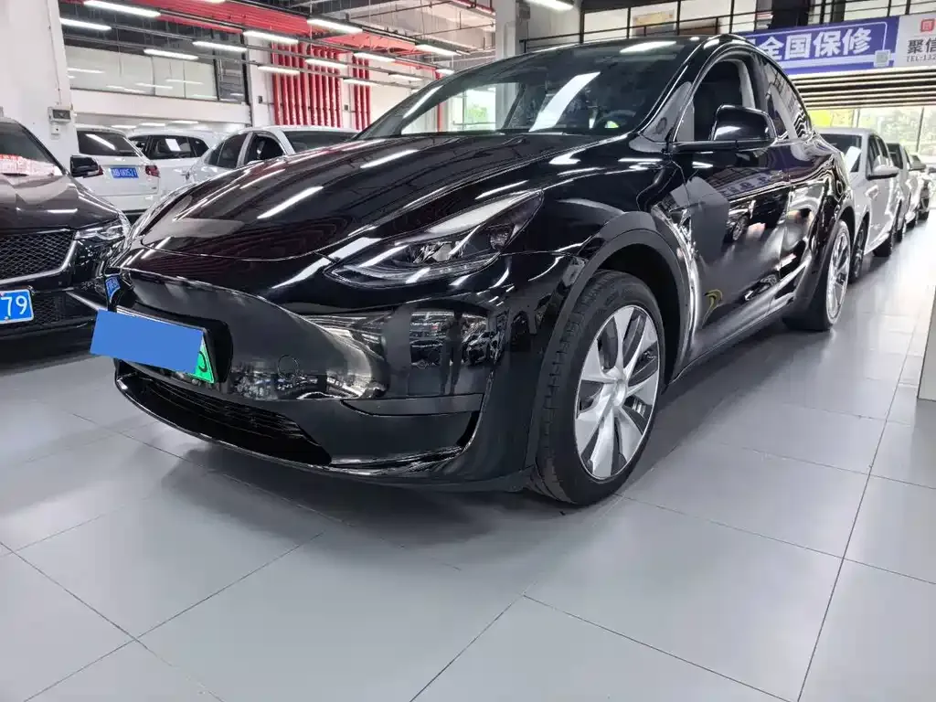 Tesla Model Y — фото 1