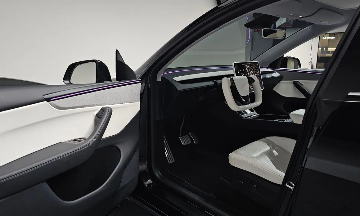 Tesla Model Y — фото 10