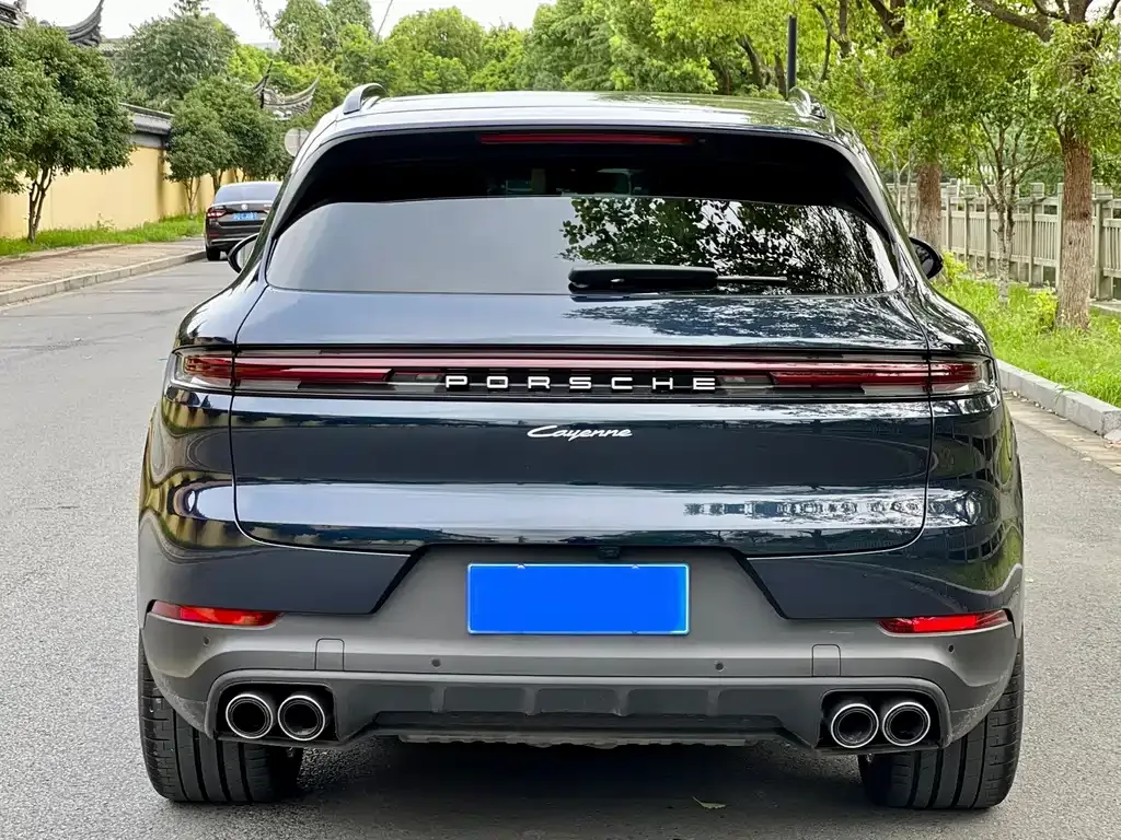 Porsche Cayenne — фото 6