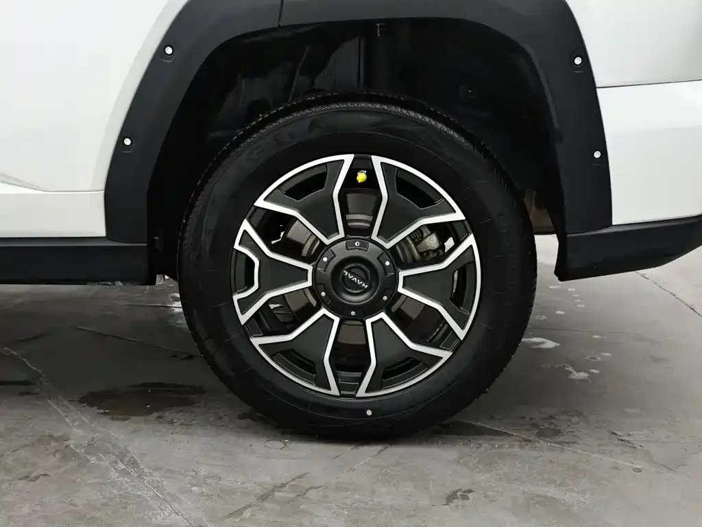 Haval H7 (Big Dog Plus) New Energy — фото 7