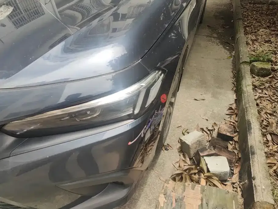 Honda Civic — фото 6