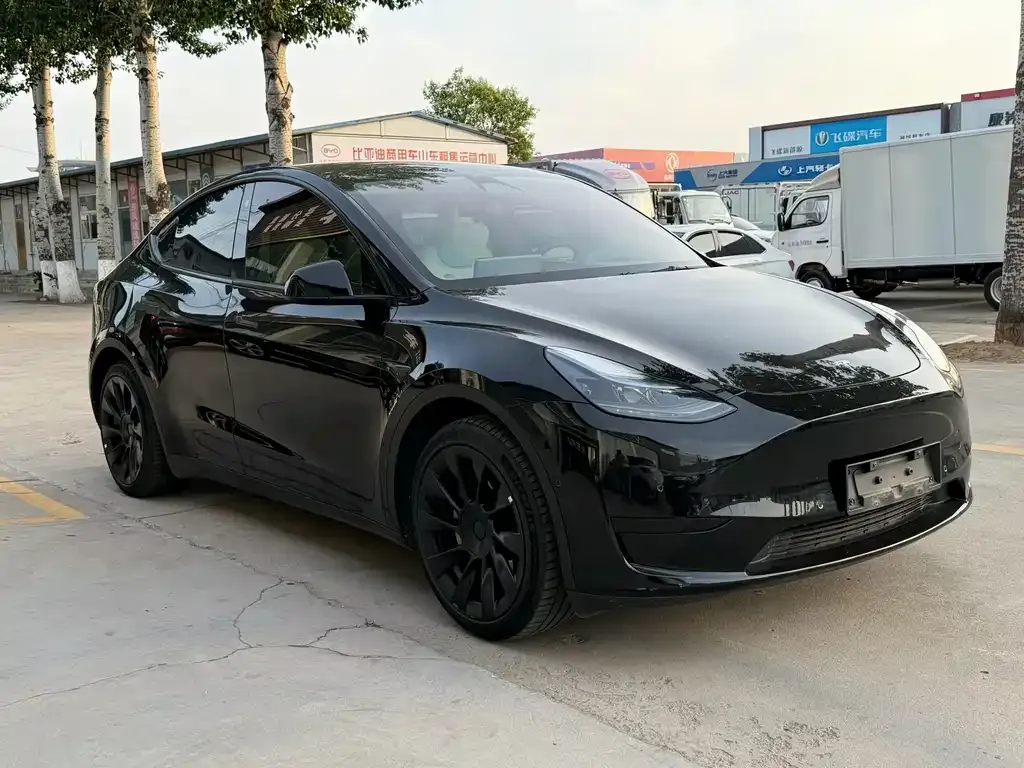 Tesla Model Y — фото 6