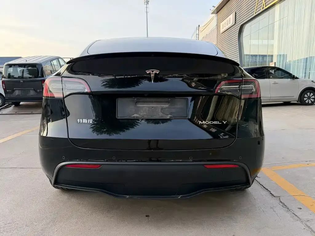 Tesla Model Y — фото 5