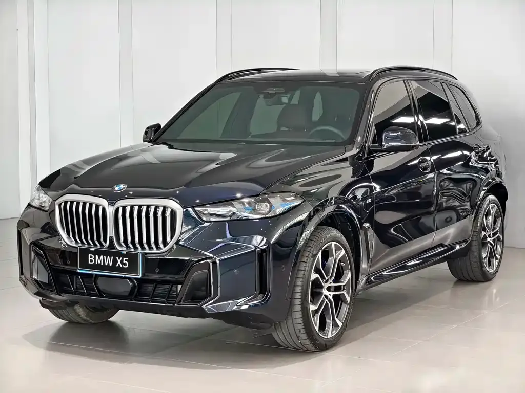 BMW X5 — фото 1