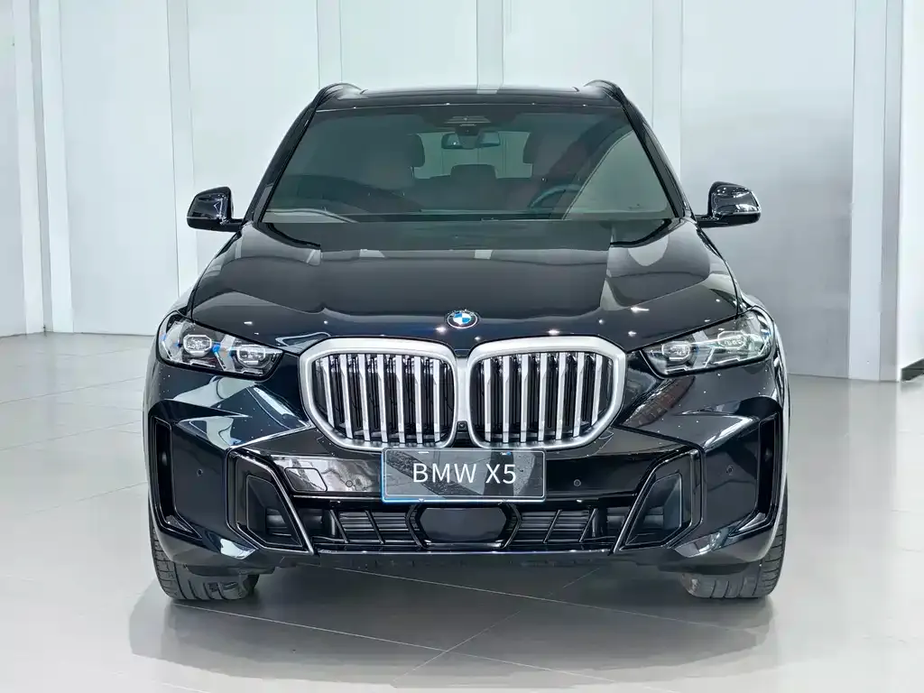 BMW X5 — фото 2