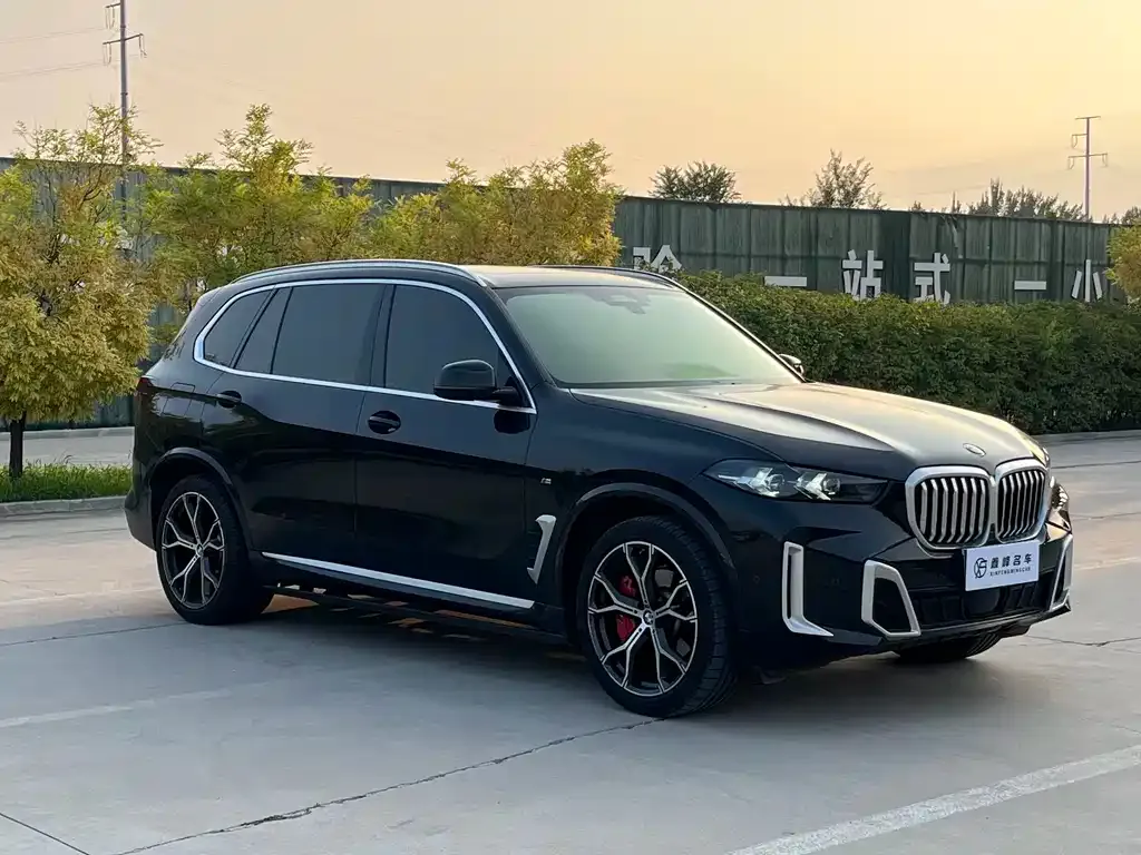 BMW X5 — фото 2