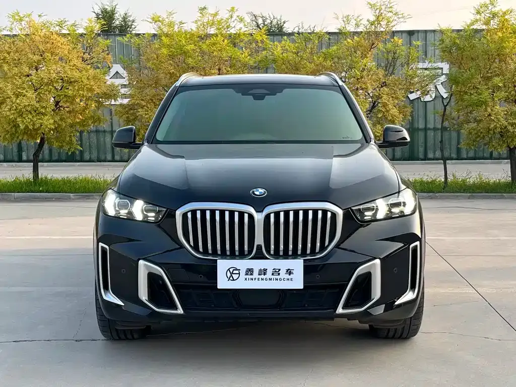 BMW X5 — фото 8