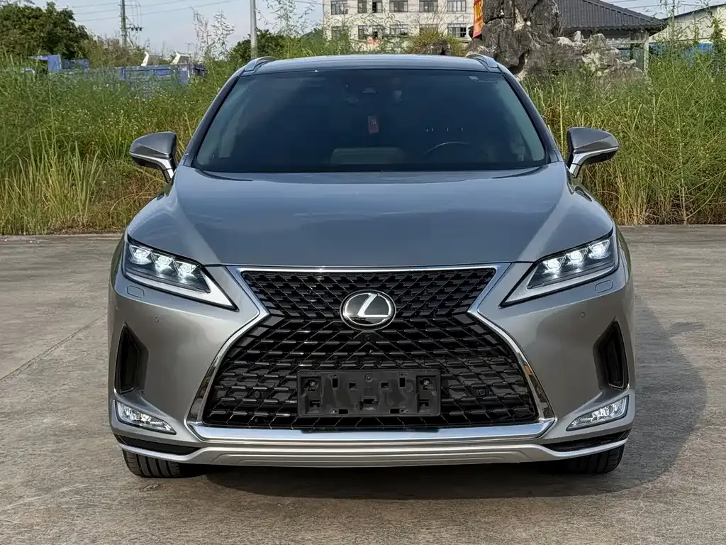 Lexus RX — фото 6