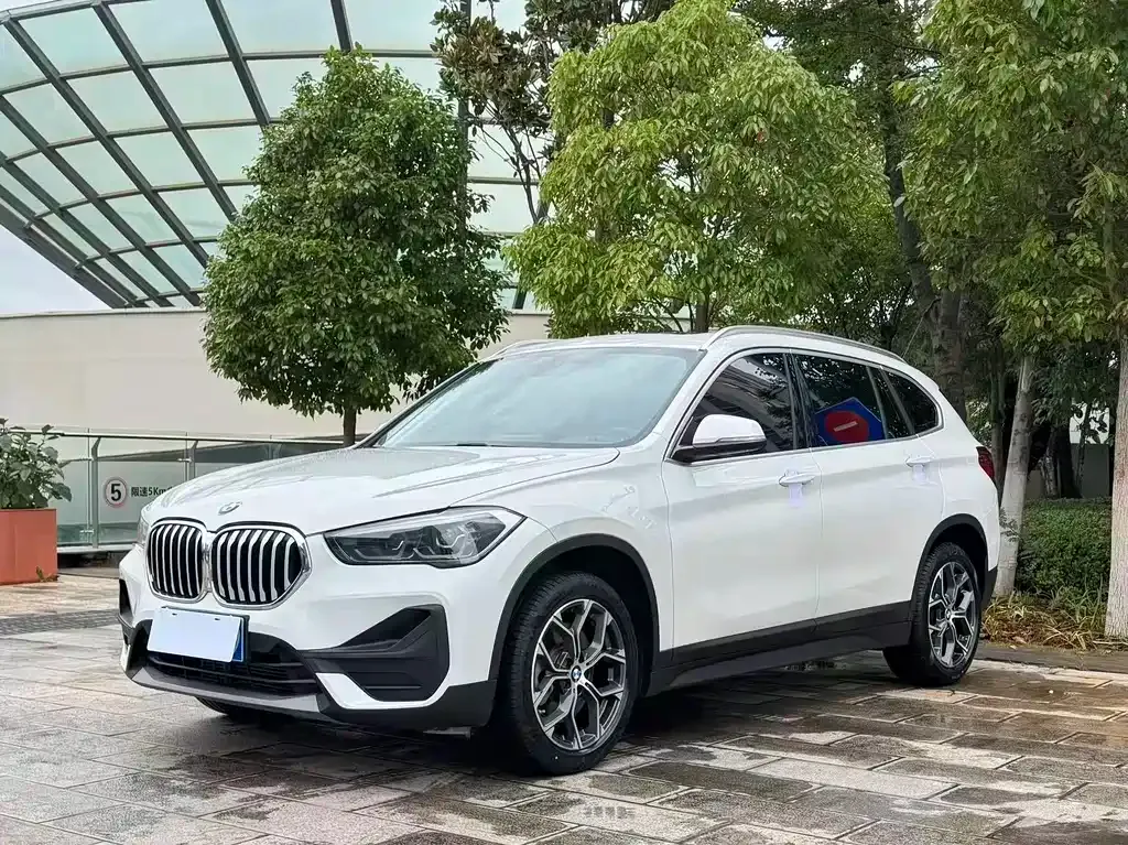 BMW X1 — фото 1