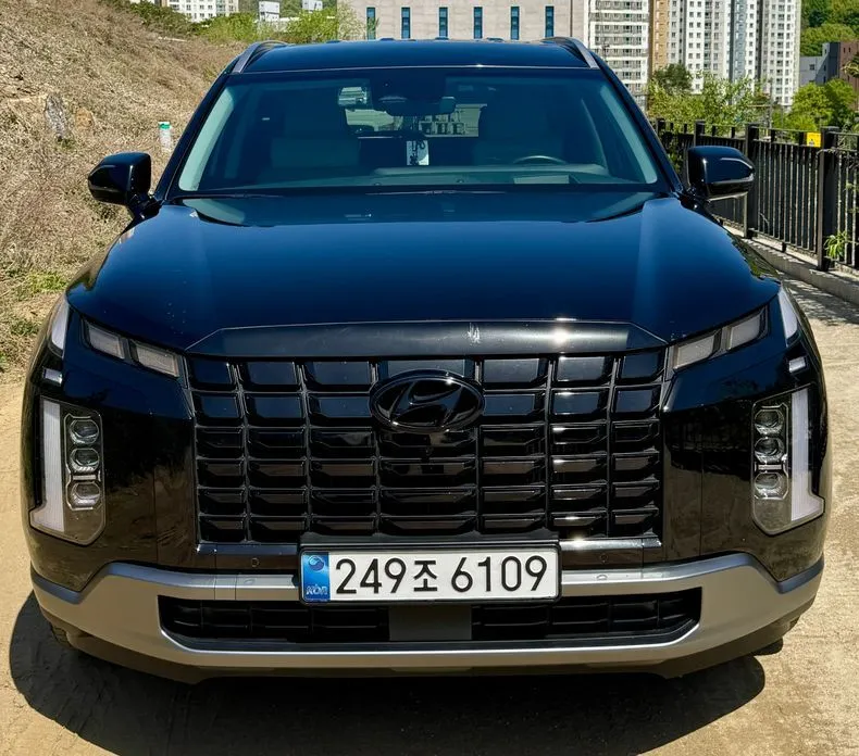 Hyundai Palisade — фото 9