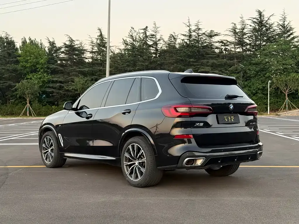 BMW X5 (Import) — фото 6