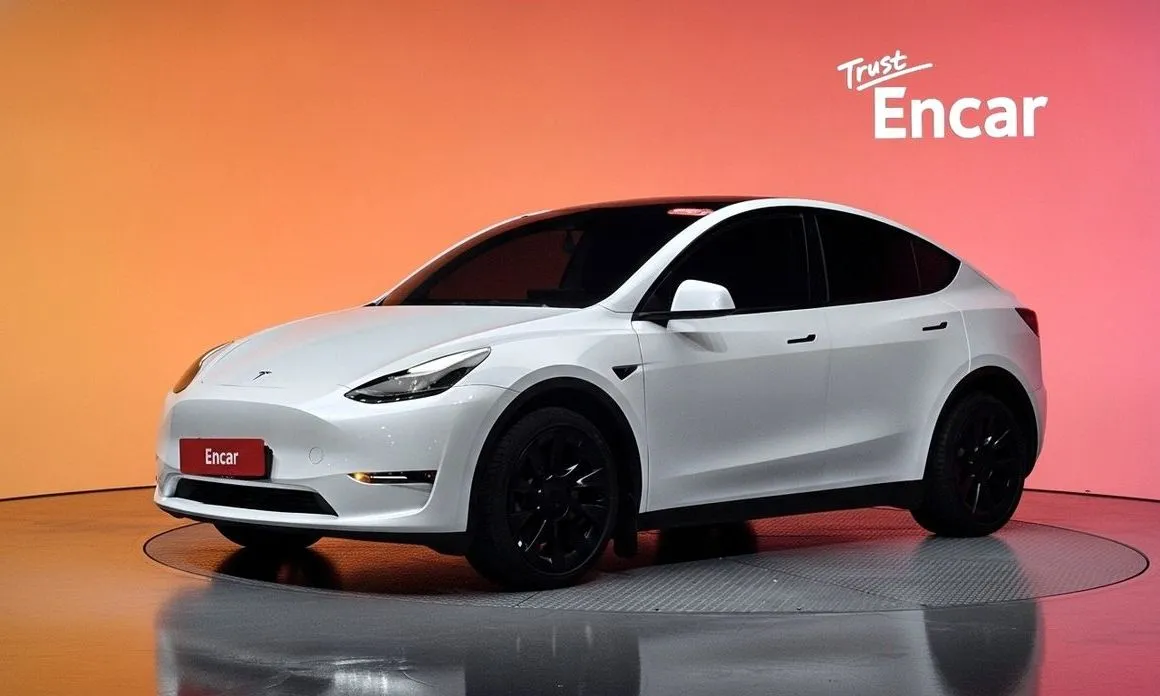 Tesla Model Y — фото 1