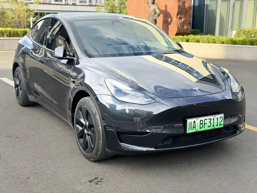 Tesla Model Y — фото 6