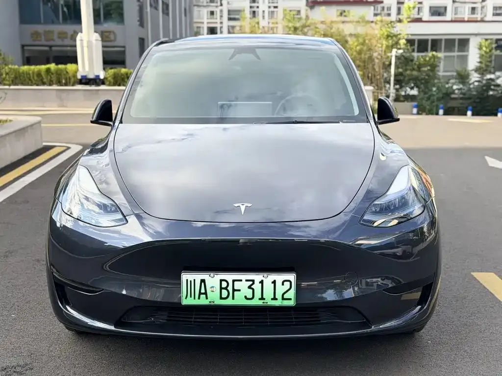 Tesla Model Y — фото 7