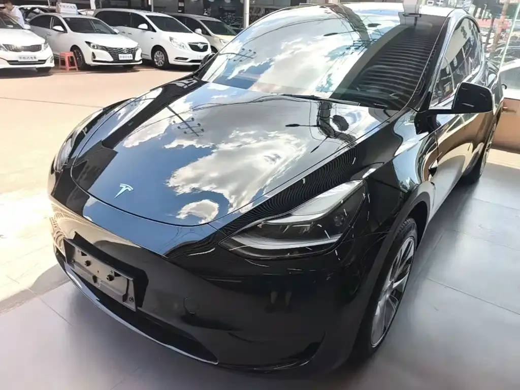Tesla Model Y — фото 8