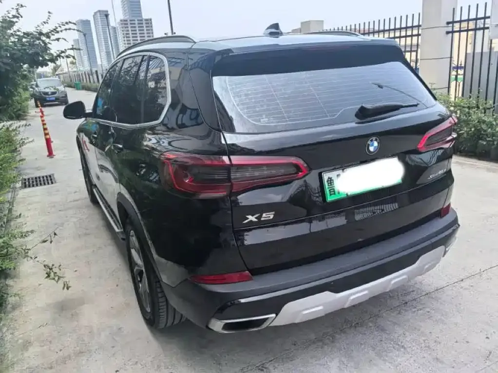 BMW X5 New Energy (Import) — фото 4