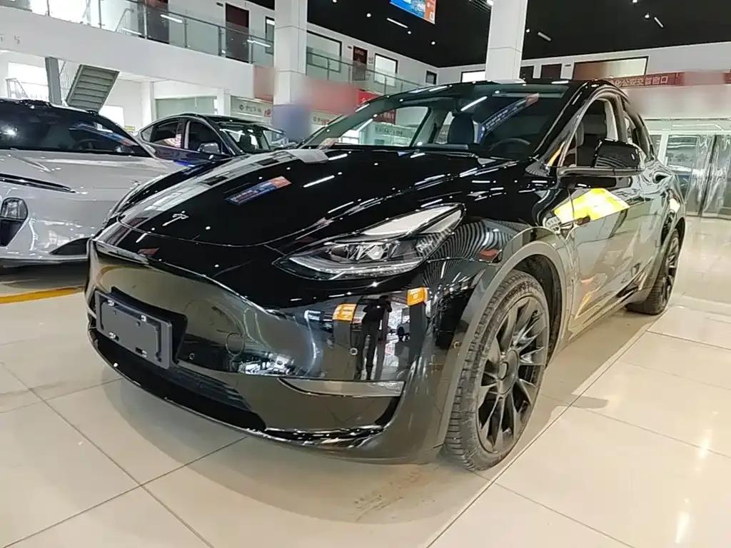 Tesla Model Y — фото 9