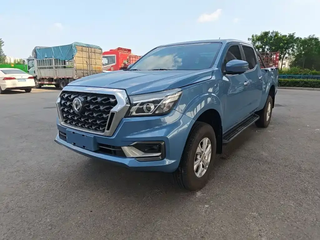 Dongfeng Rich 6 Pro — фото 7