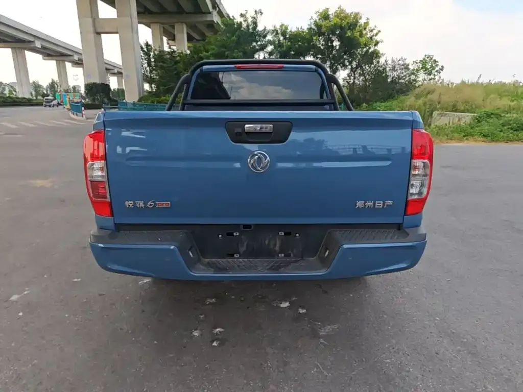 Dongfeng Rich 6 Pro — фото 4