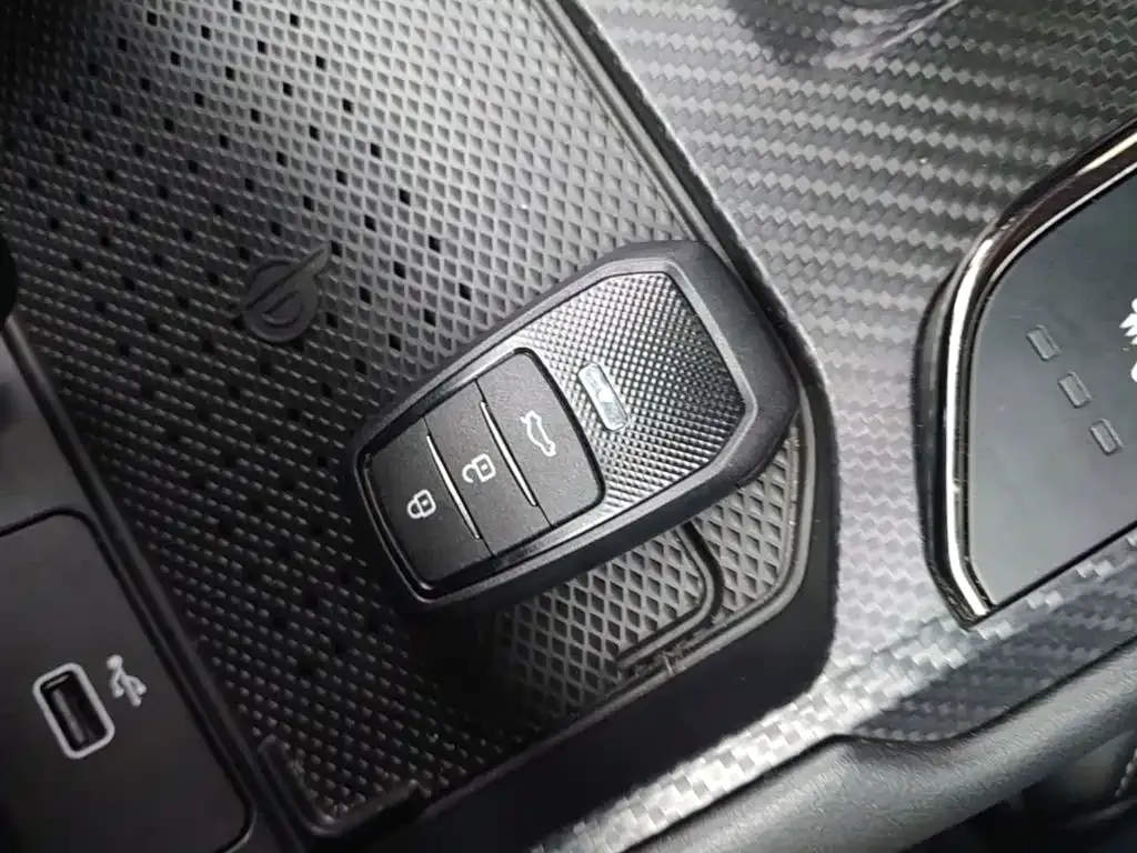 Haval Big Dog PLUS New Energy — фото 3
