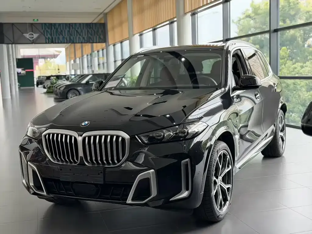 BMW X5 — фото 1