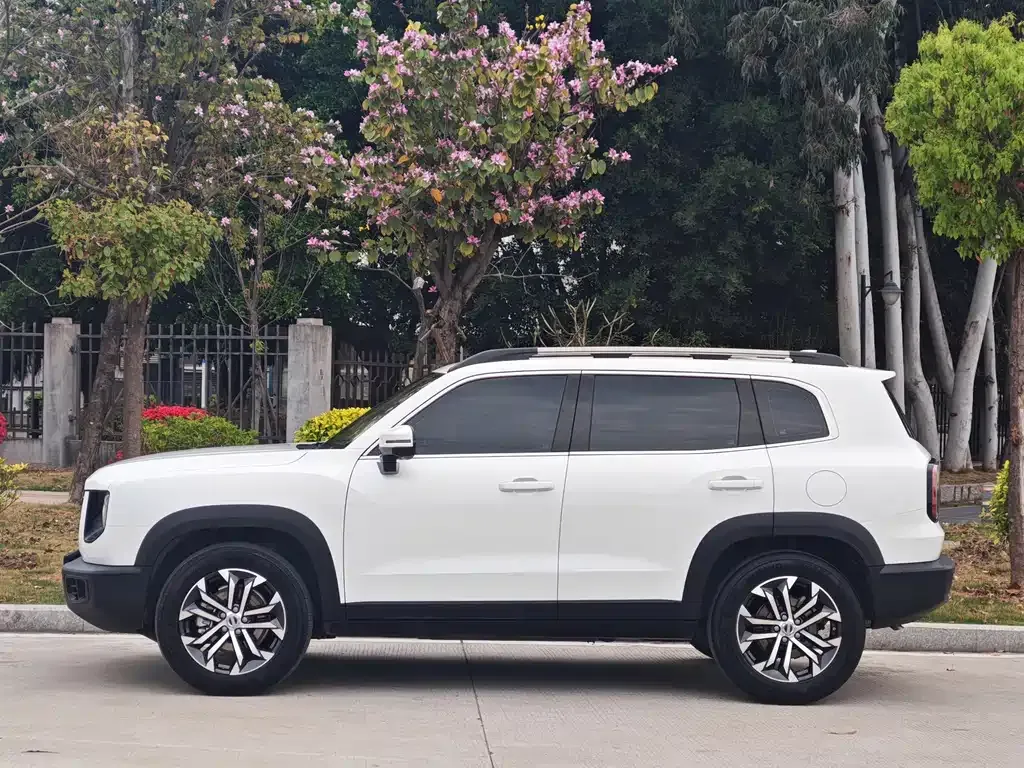 Haval Big Dog — фото 7